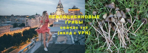 стаф Бугульма