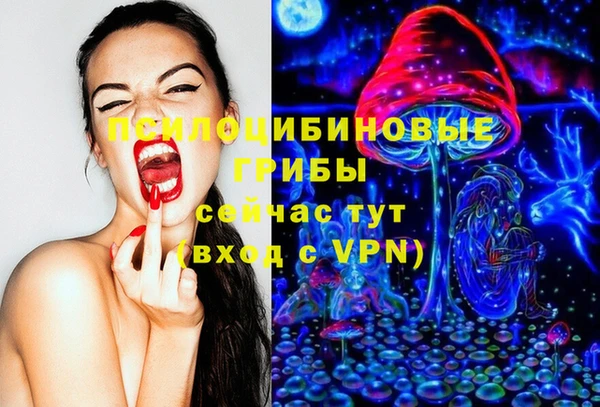 герыч Бронницы