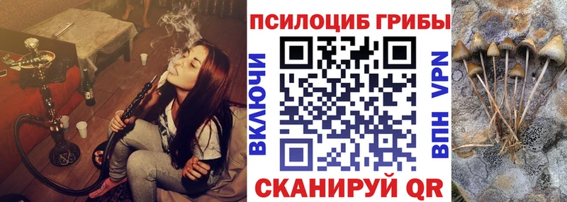 ОМГ ОМГ онион  Шахунья  Псилоцибиновые грибы GOLDEN TEACHER 